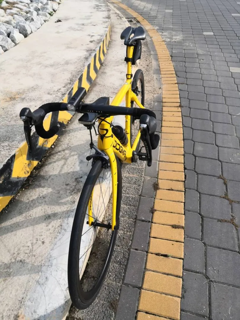 Pinarello F10