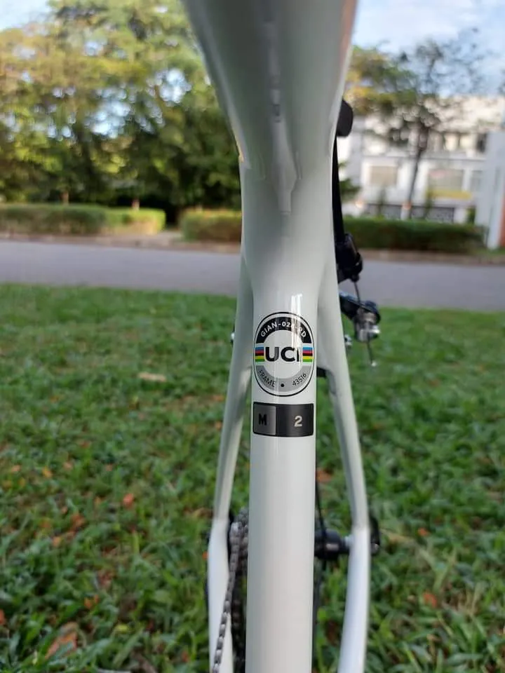 Giant TCR Adv 2 KOM (2021)