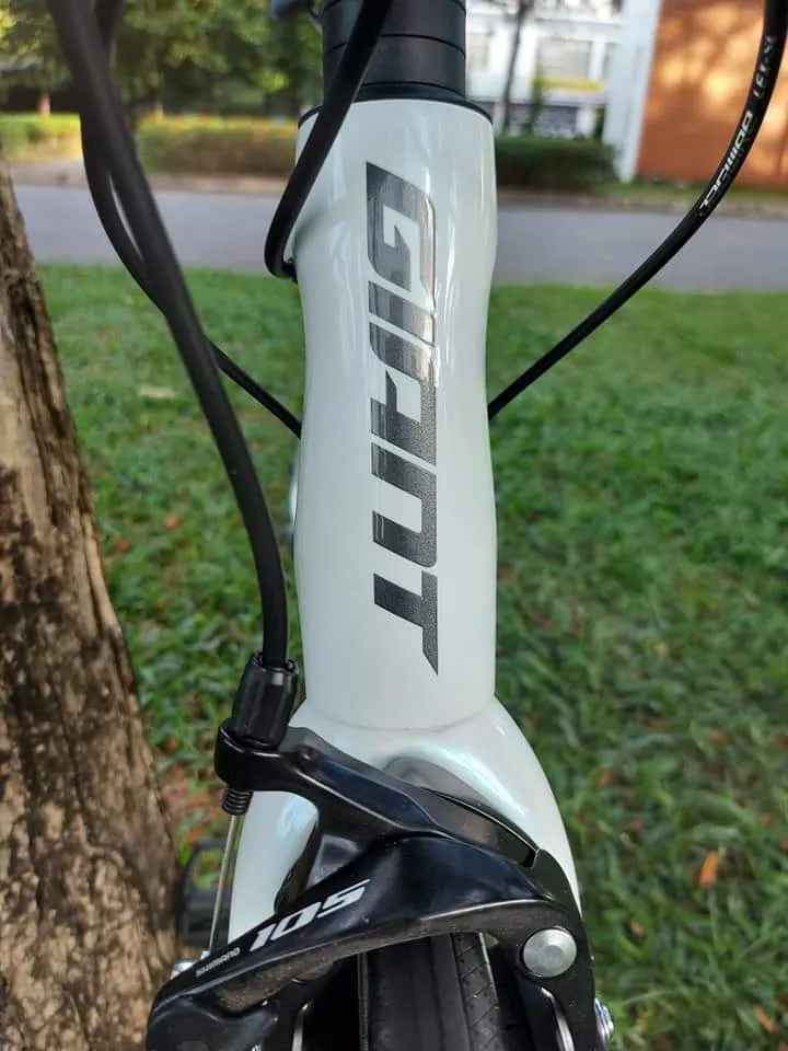 Giant TCR Adv 2 KOM (2021)