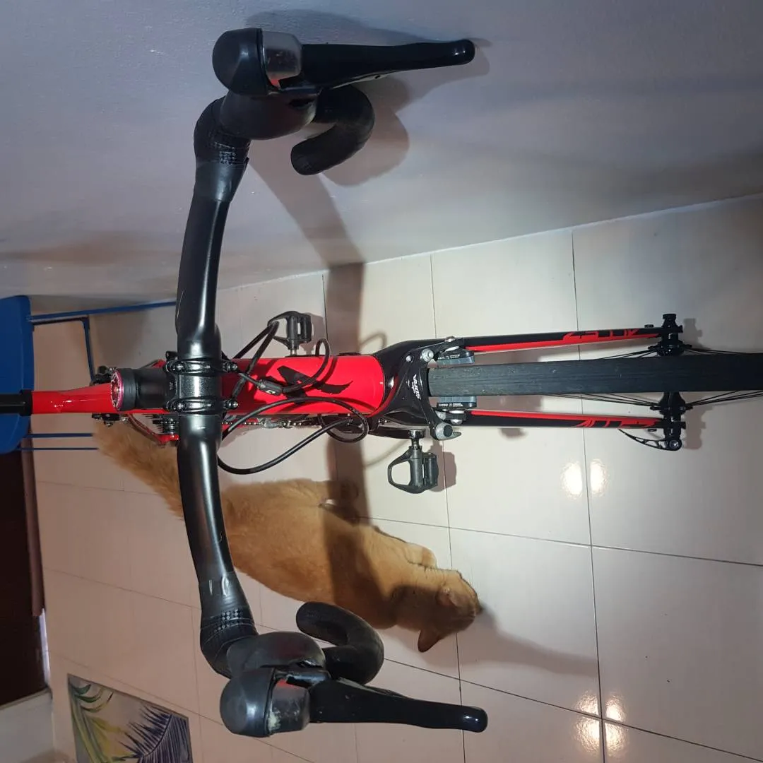 Specialozed Allez 2019