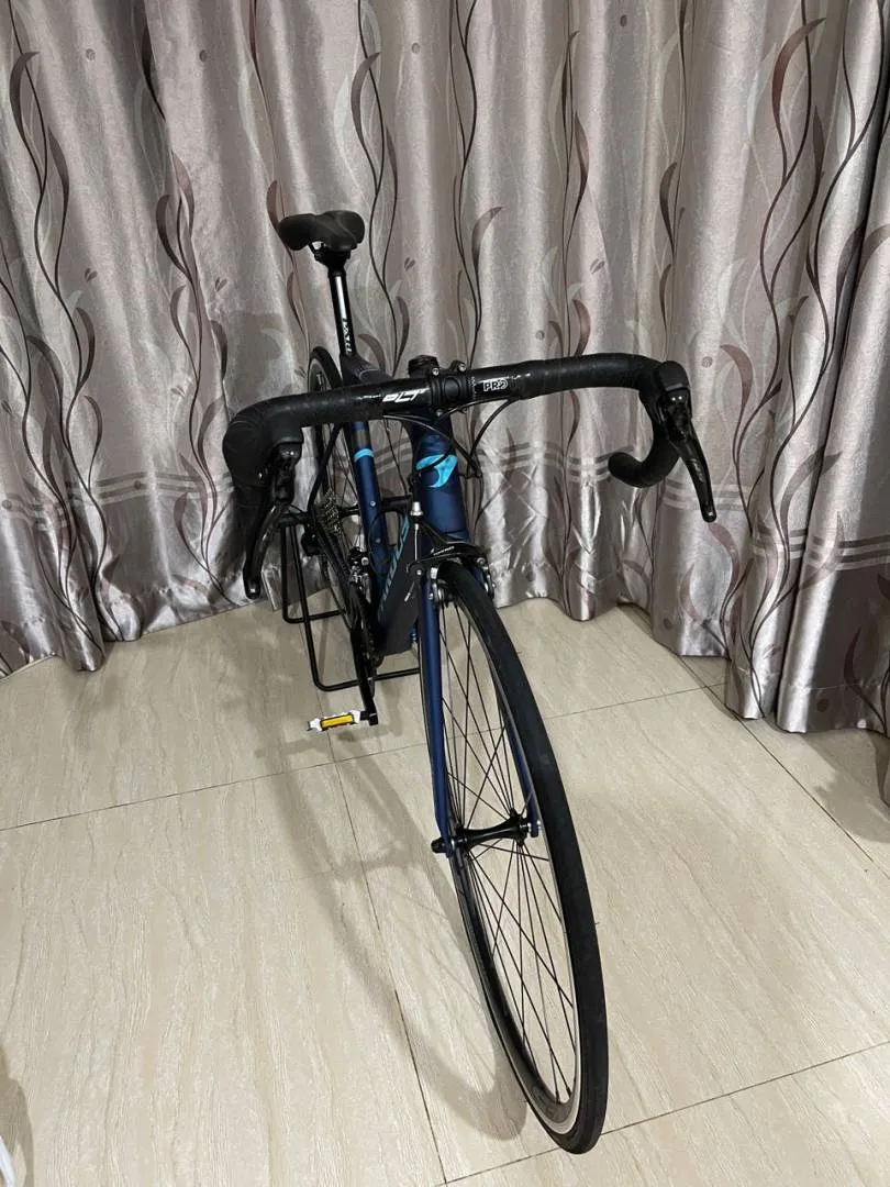 Pardus sport robin