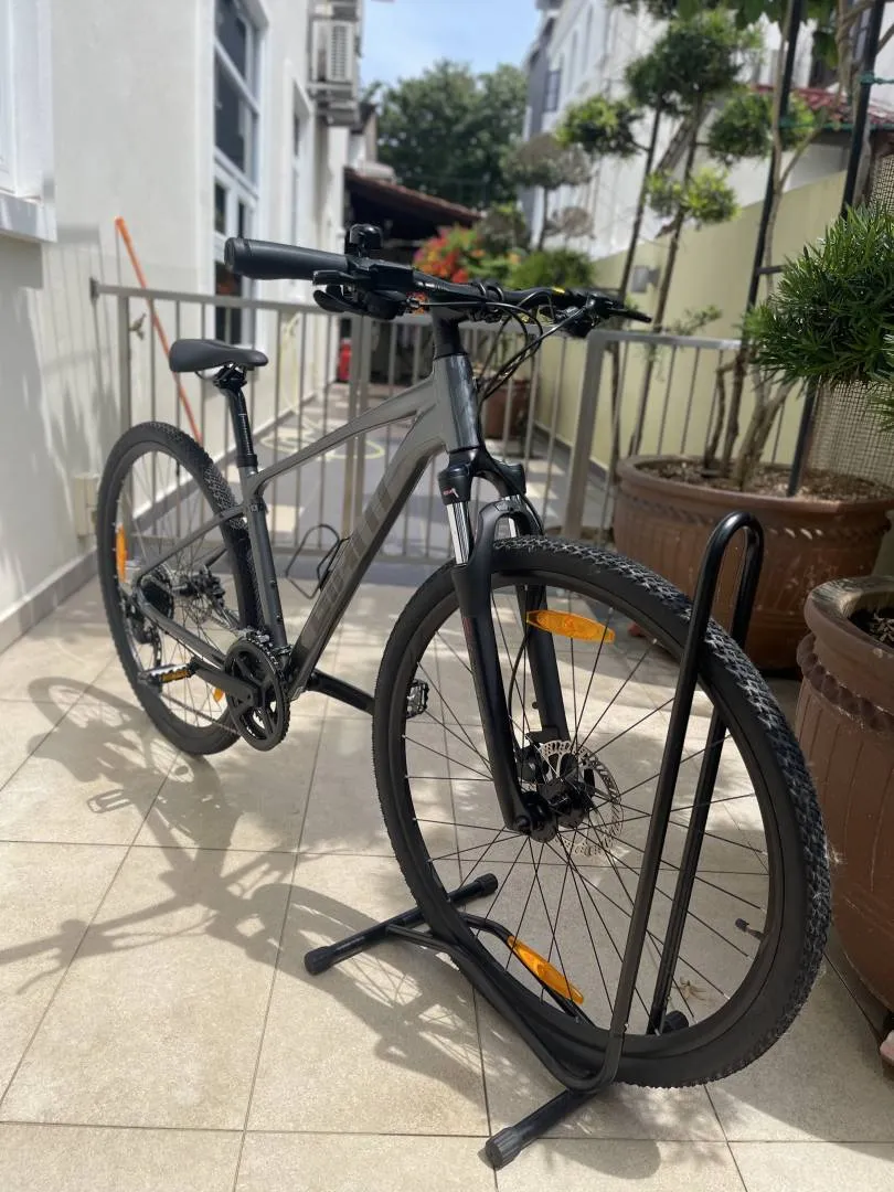 Giant Roam 2 Disc 2021