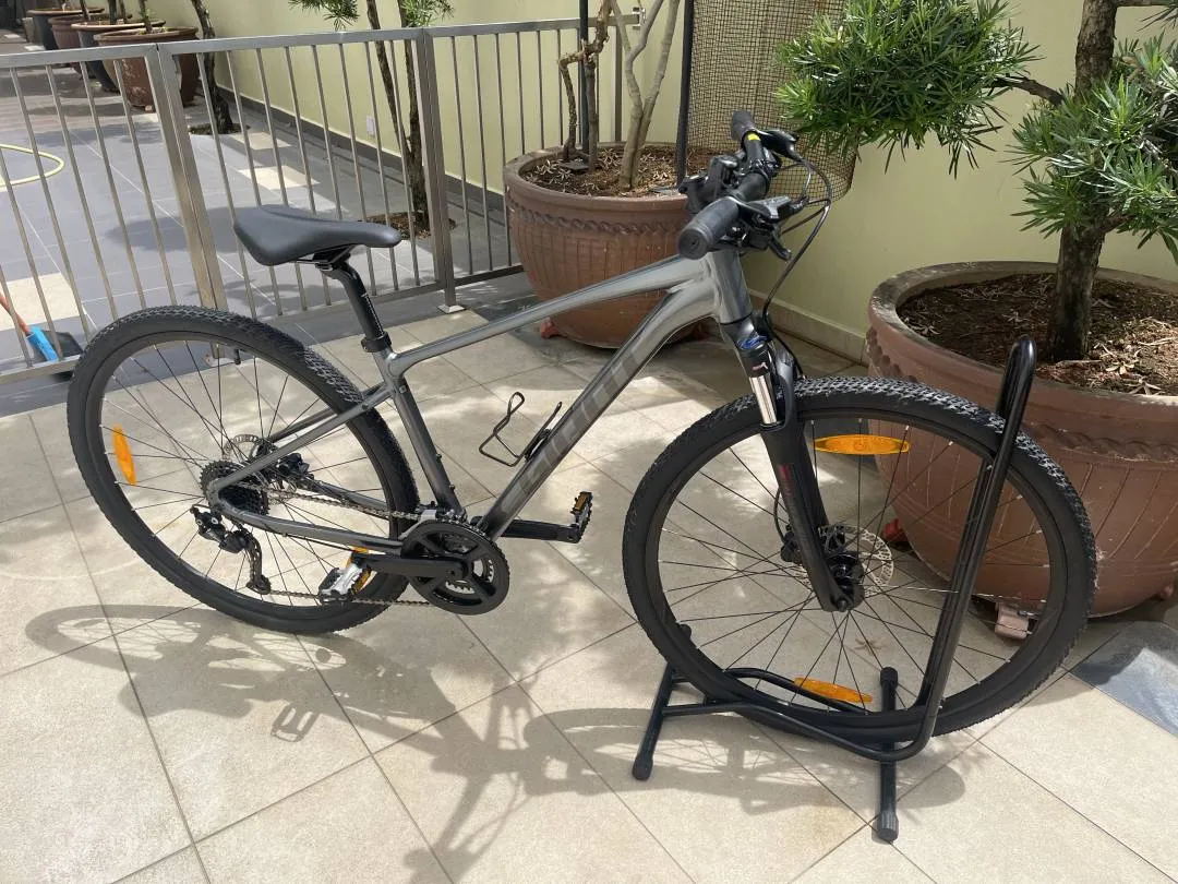 Giant Roam 2 Disc 2021
