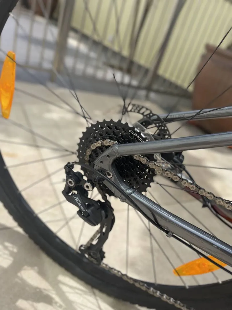 Giant Roam 2 Disc 2021