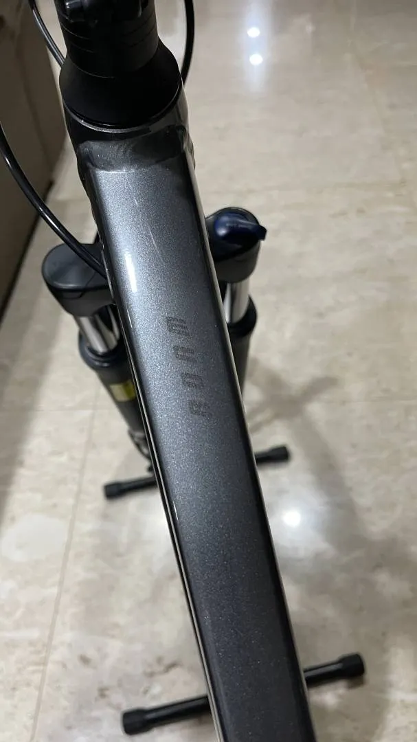 Giant Roam 2 Disc 2021