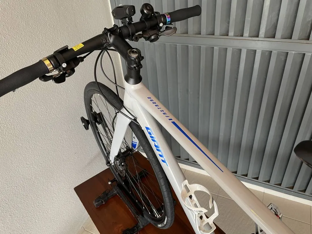 Giant Fastroad 2022