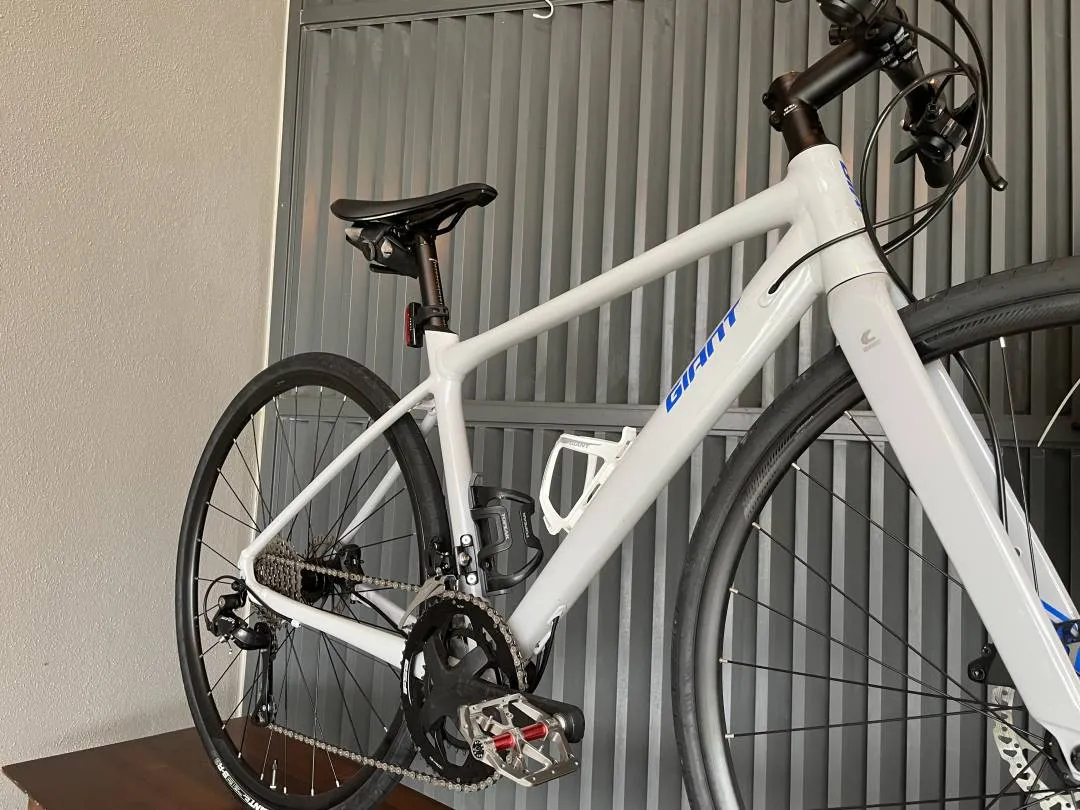 Giant Fastroad 2022