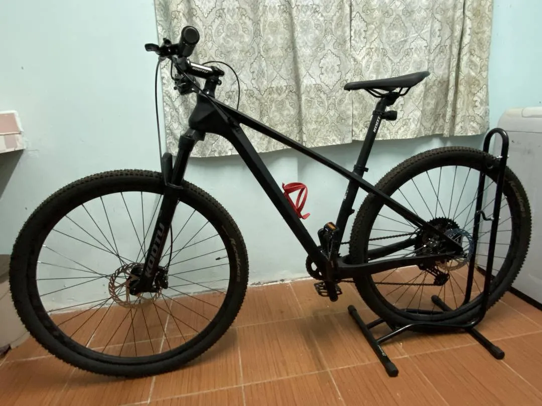 MTB Alcott Dino