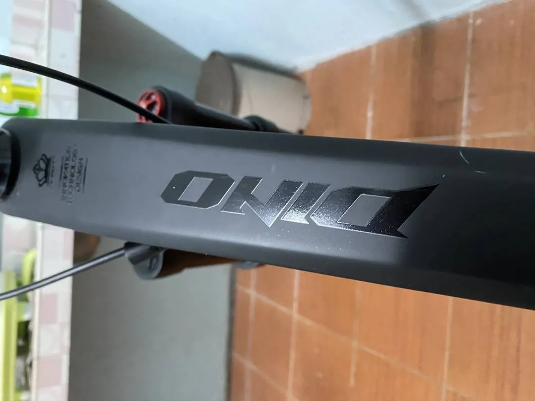 MTB Alcott Dino