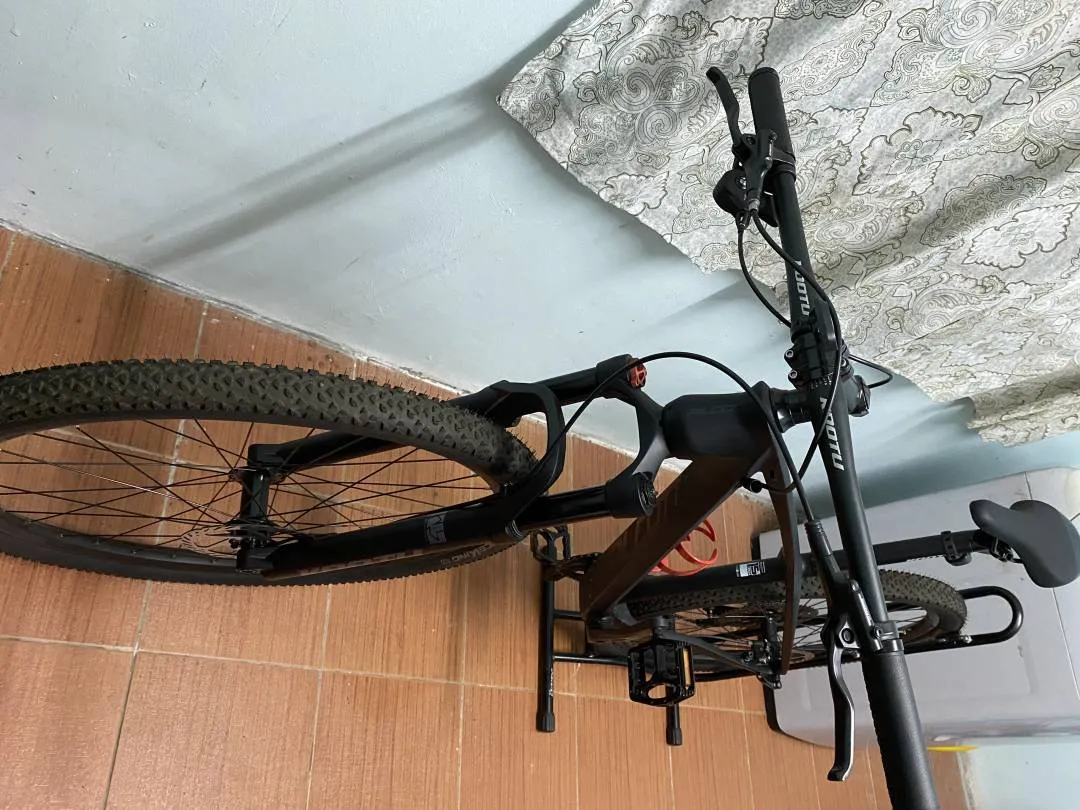 MTB Alcott Dino