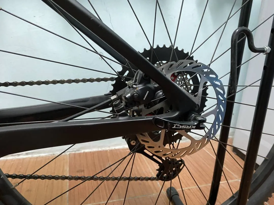 MTB Alcott Dino