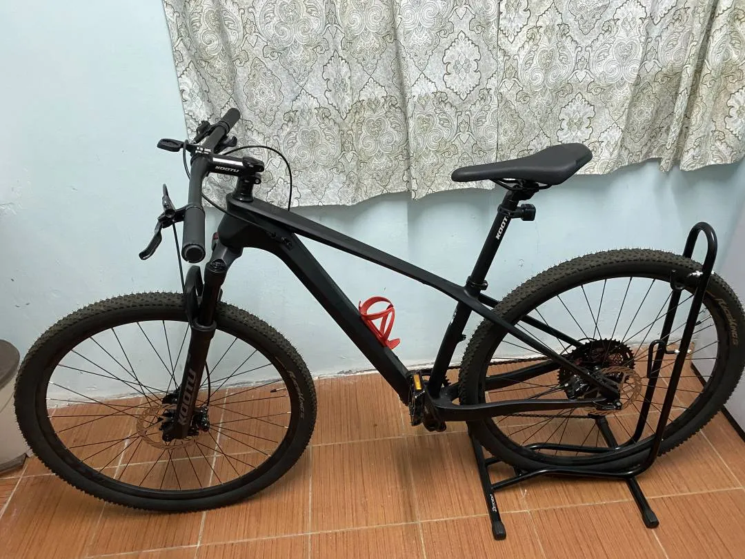 MTB Alcott Dino