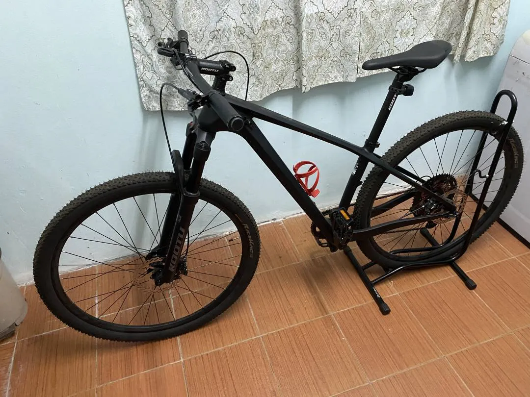 MTB Alcott Dino