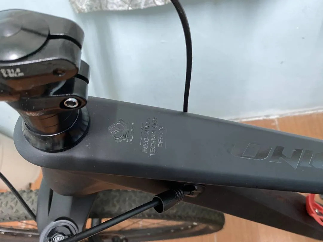 MTB Alcott Dino