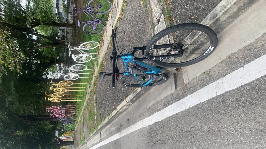 MTB saiz 19