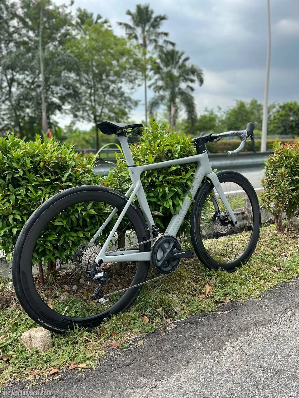 2022 POLYGON HELIOS A8 NUBIUM GREY UCI APPROVED ROAD BIKES BICYCLE CARBON