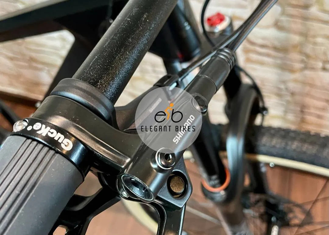 NEW 2022 TRS RATEL XT 12SP CARBON FRAME 29ER SHIMANO HYDRAULIC BRAKE