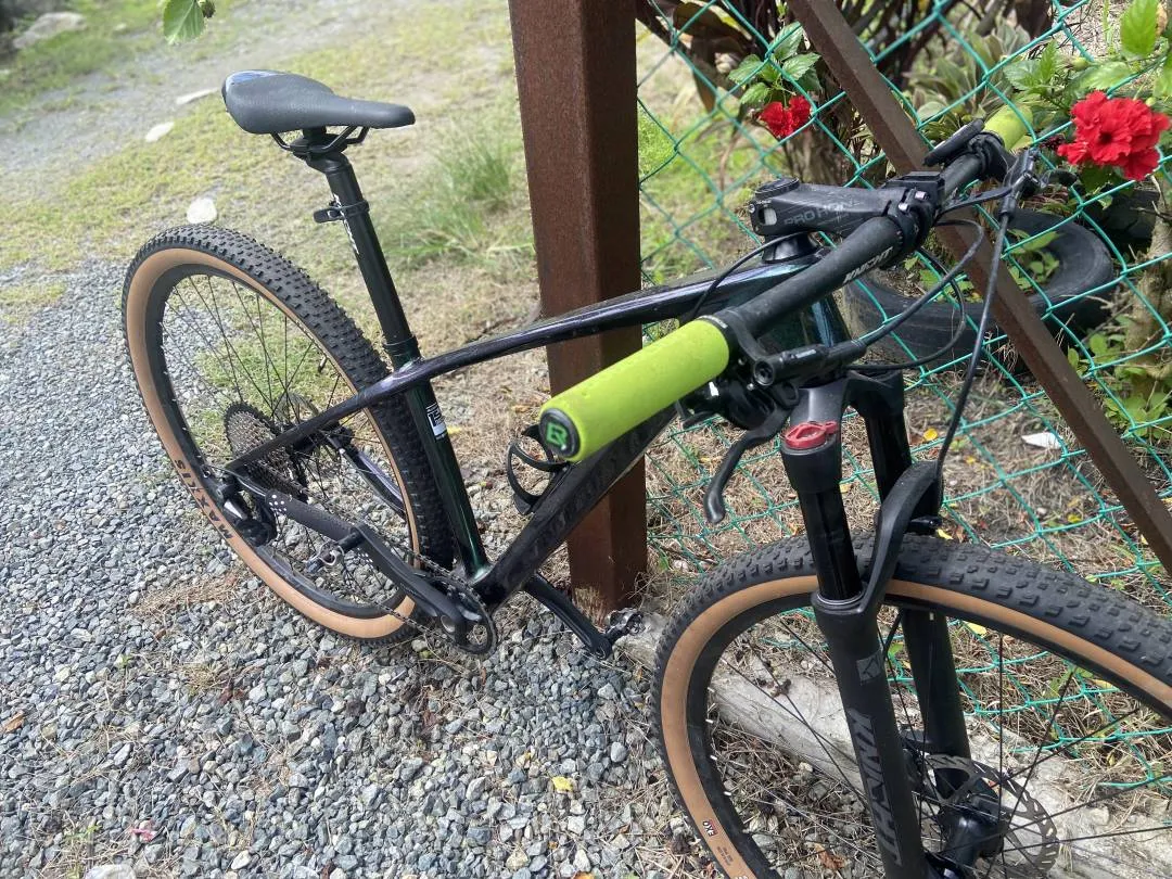 29â€ Alcott Dino carbon