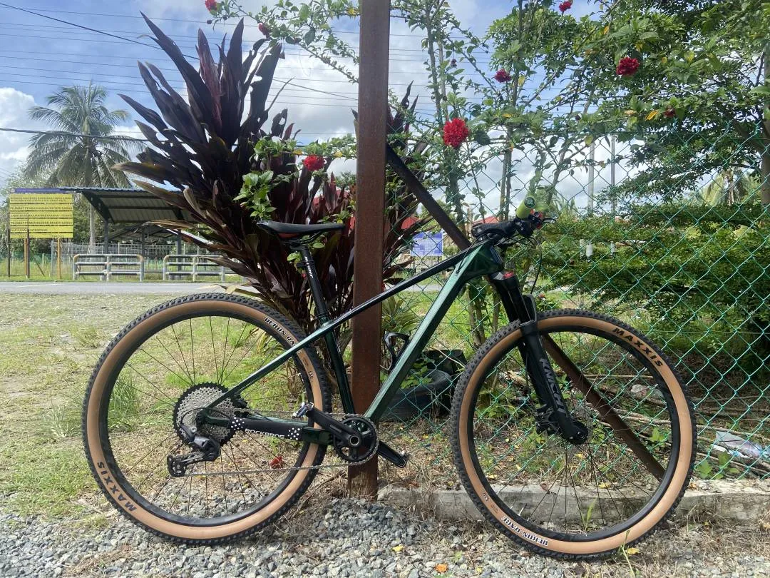 29â€ Alcott Dino carbon