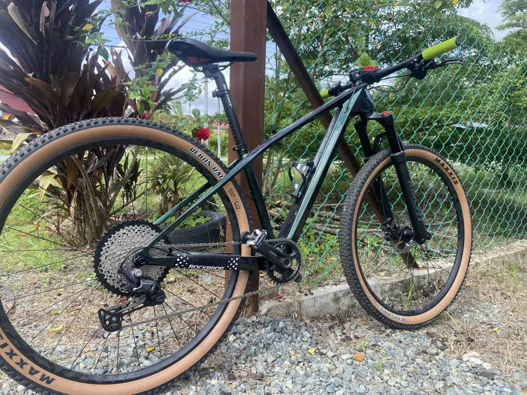 29â€ Alcott Dino carbon