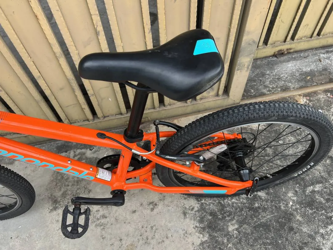 Cannondale Quick 20 Kids' Bike