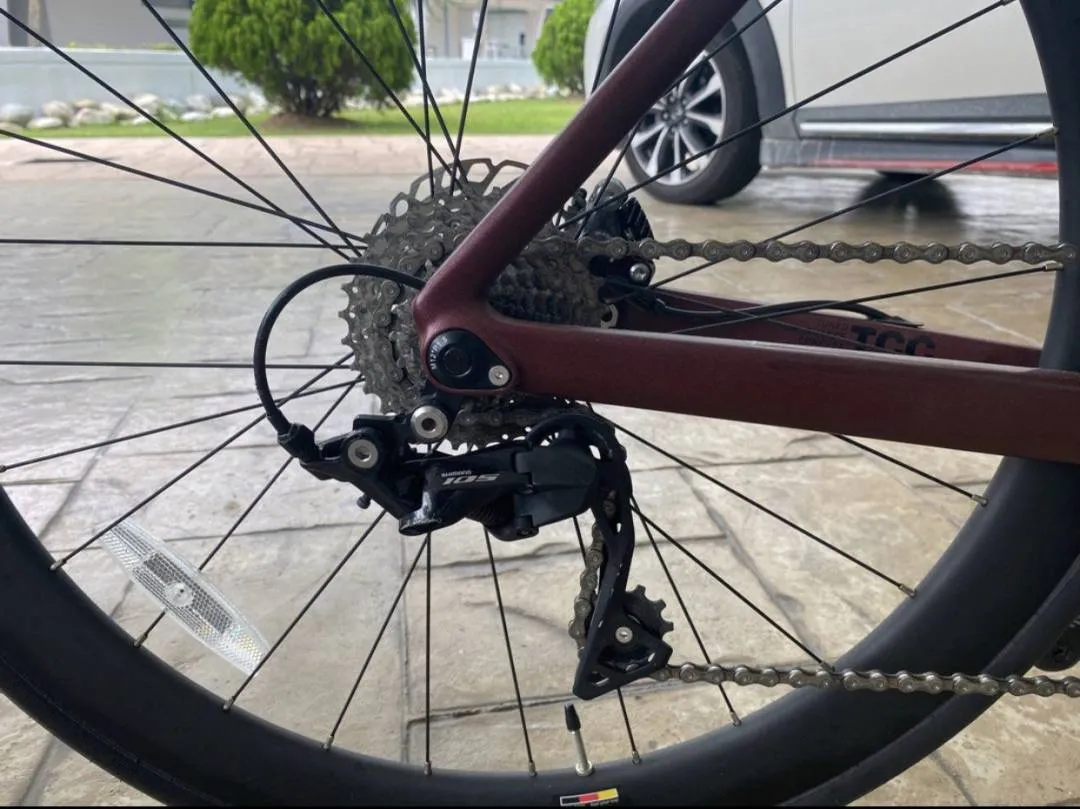 ALCOTT Rossa Advance