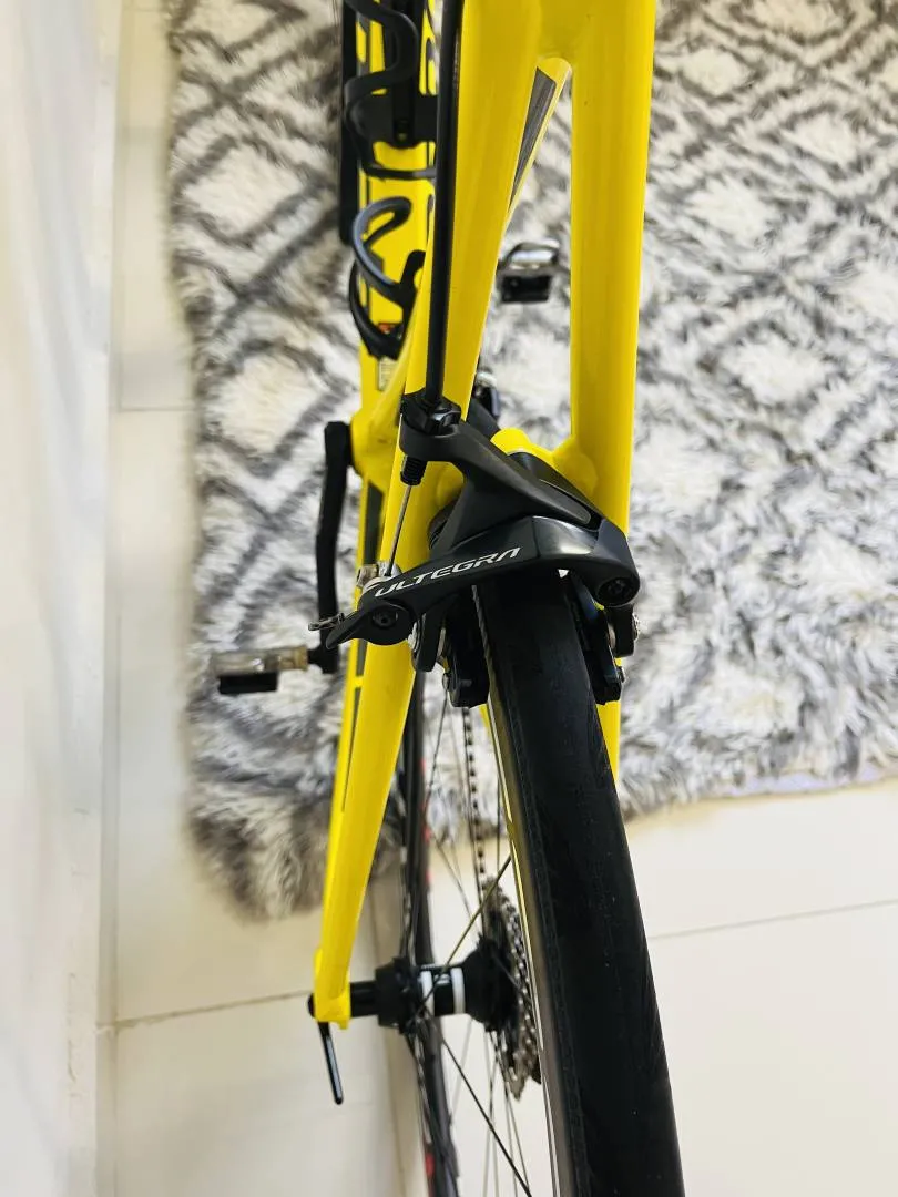 CAAD12 Bike of the Year 2016 &amp; 2018 - (SOLD)