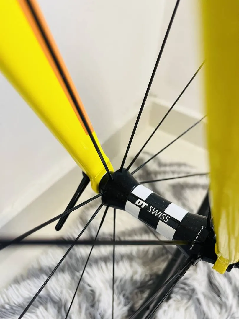 CAAD12 Bike of the Year 2016 &amp; 2018 - (SOLD)