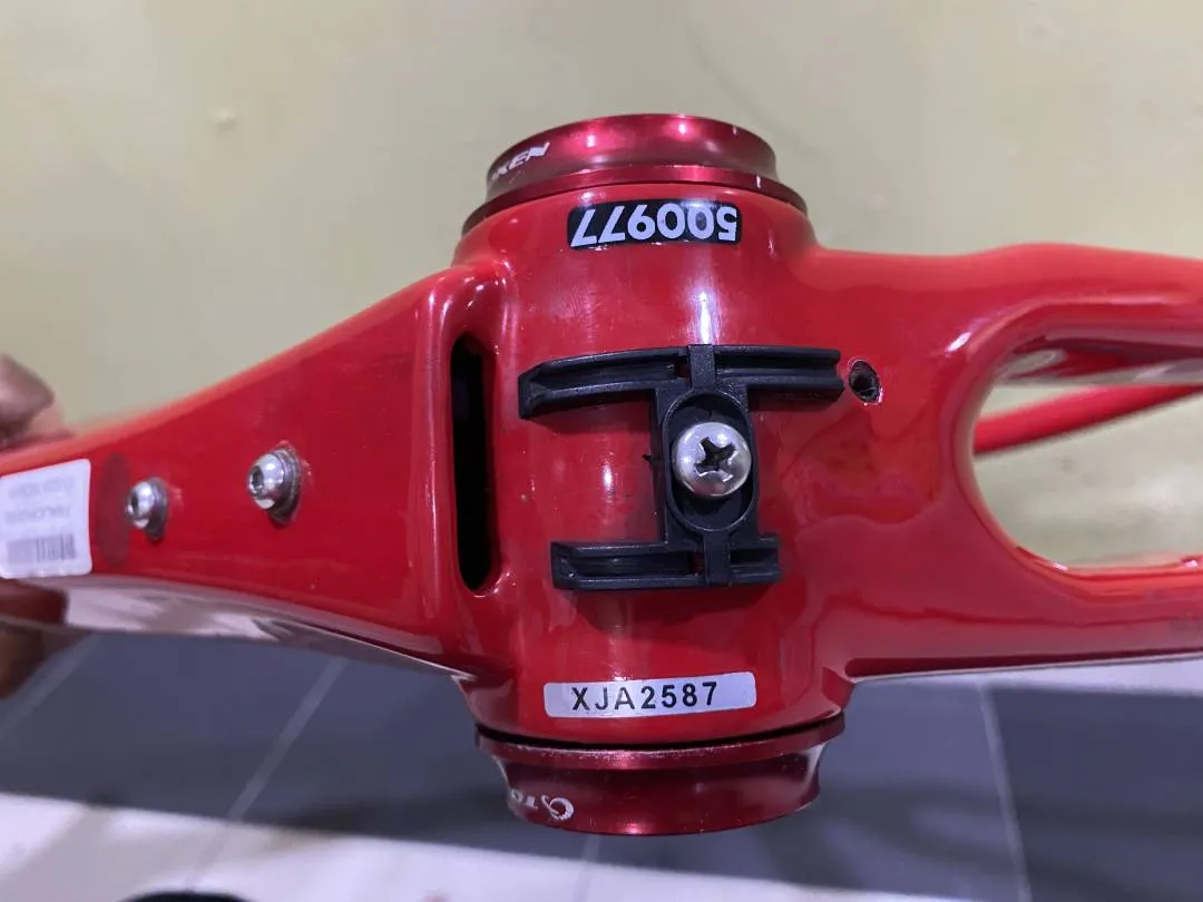 RIDLEY LIZ CARBON FRAME (XS)-RIM BRAKE