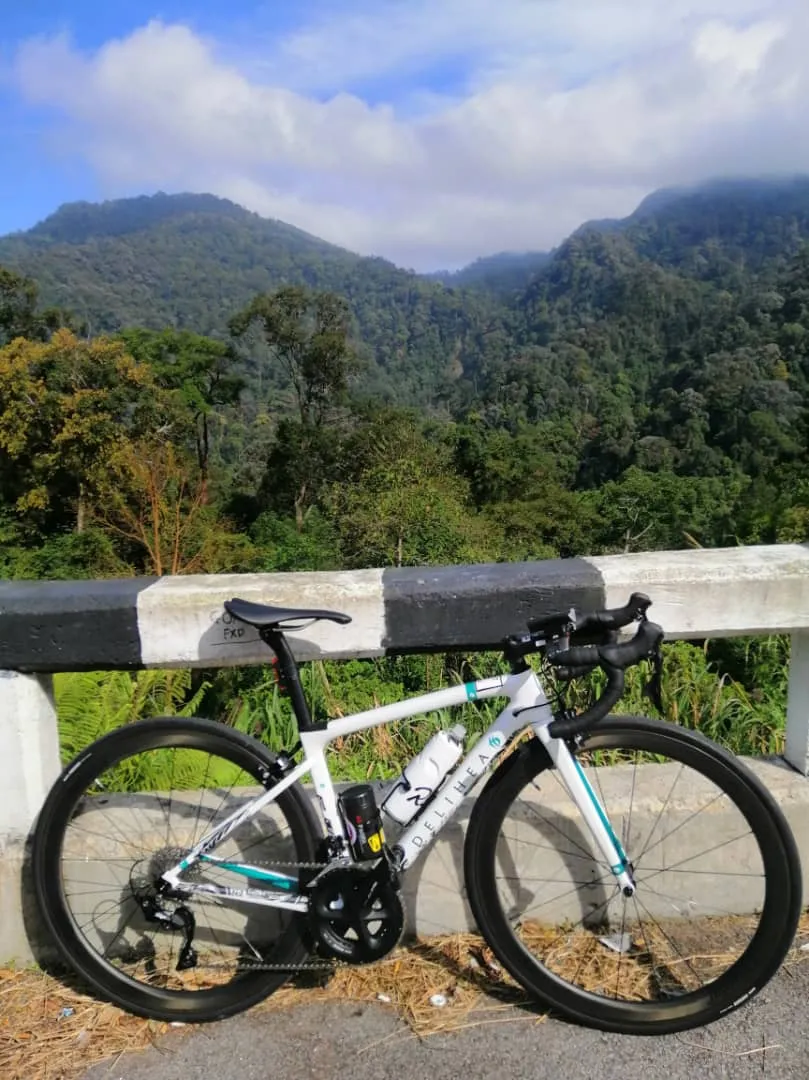 COMPLETE BIKE DELIHIA REST FULL CARBON