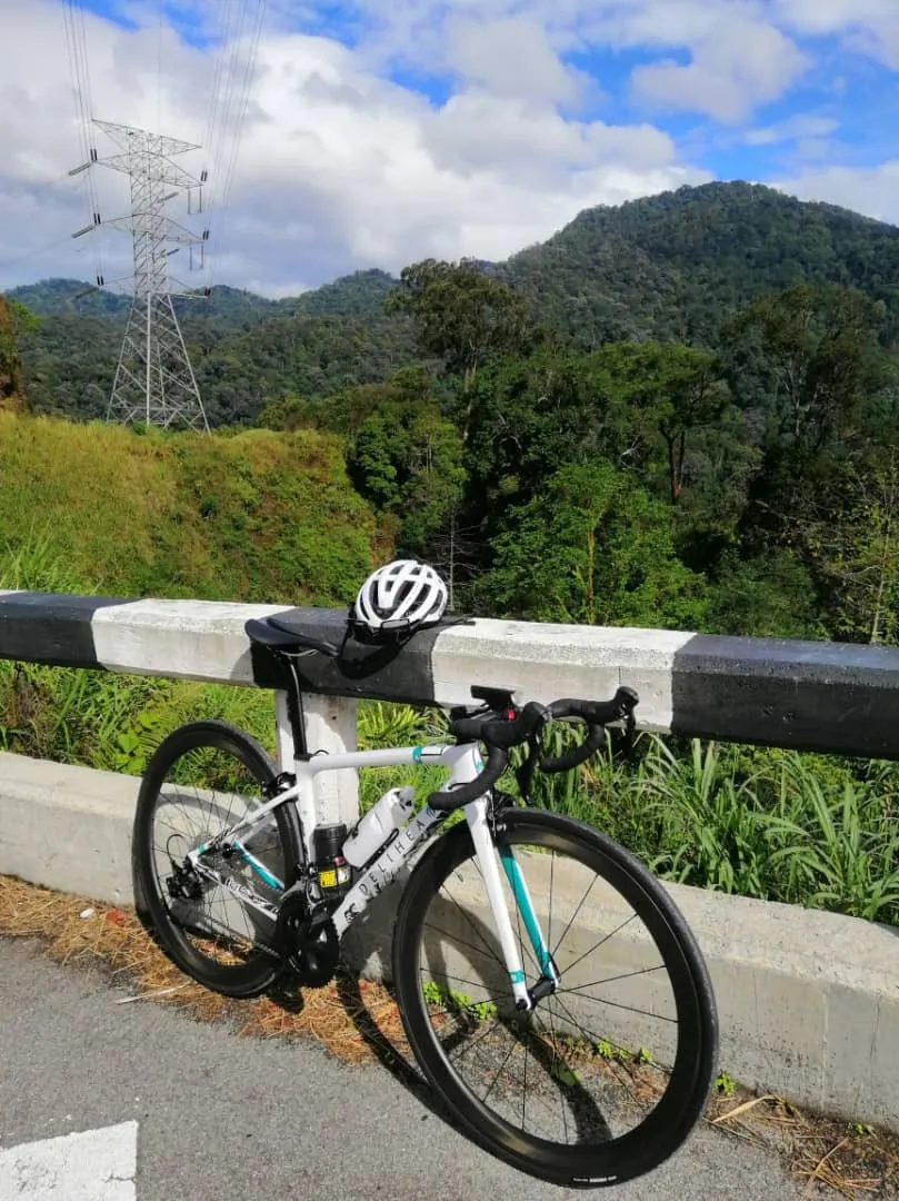 COMPLETE BIKE DELIHIA REST FULL CARBON