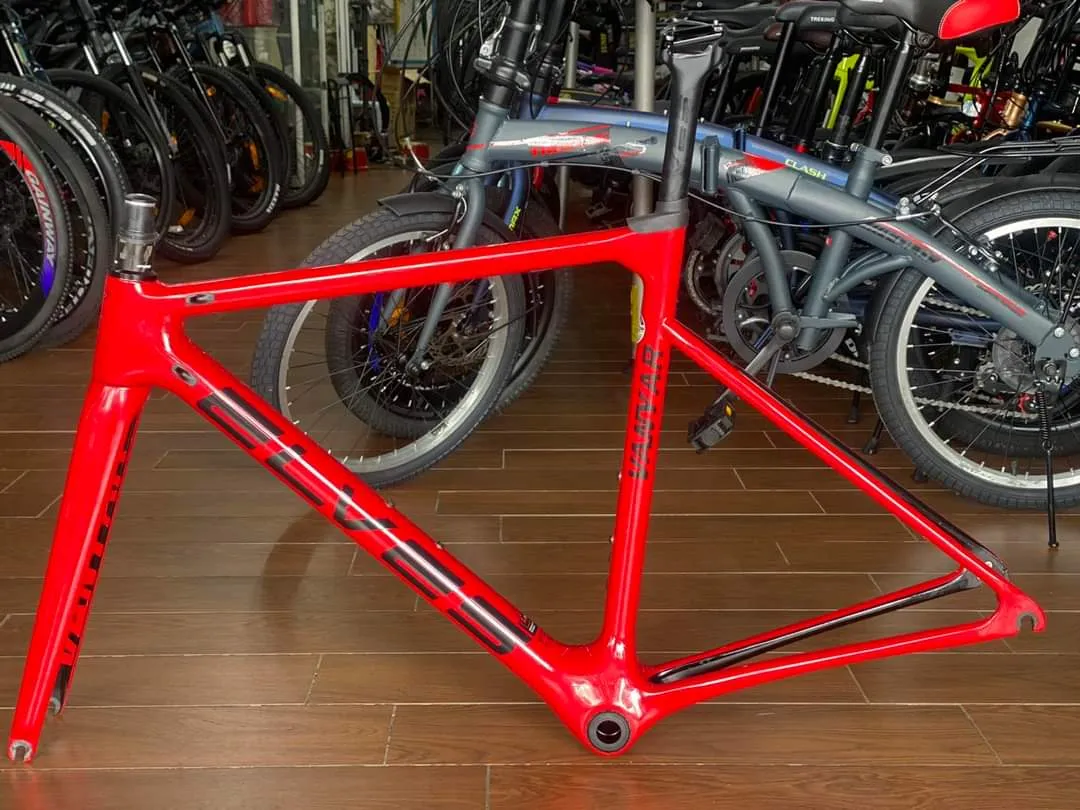 #Elves_Vanyar Carbon Frame (used)