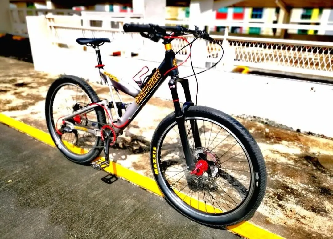 Fully Restored Cannondale Super V900