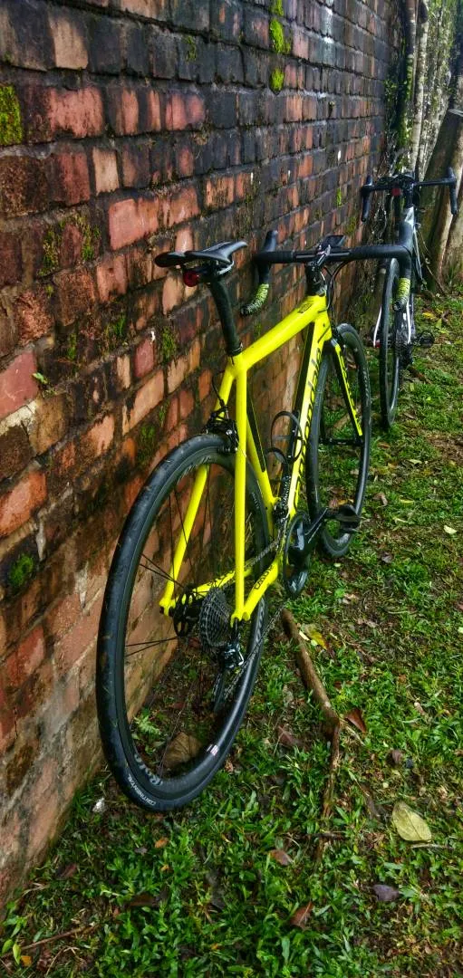 Cannondale CAAD 12