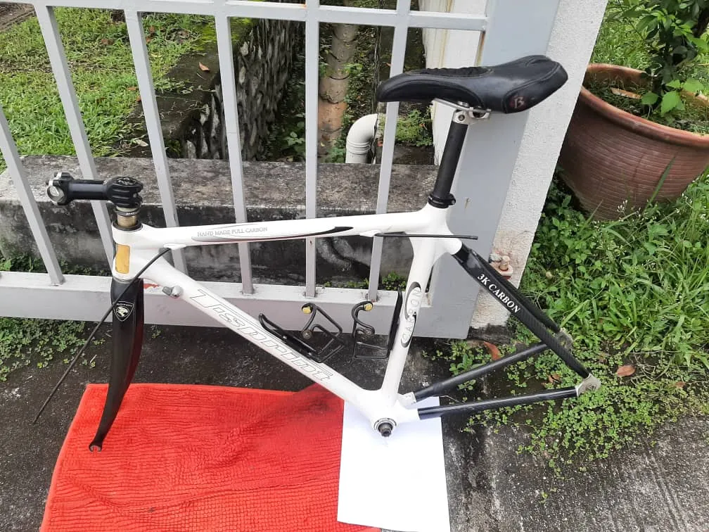 proton tsprint WTS