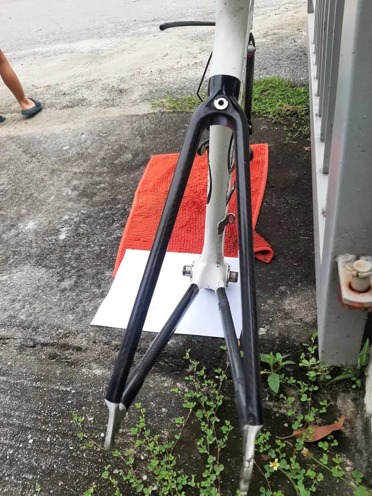 proton tsprint WTS
