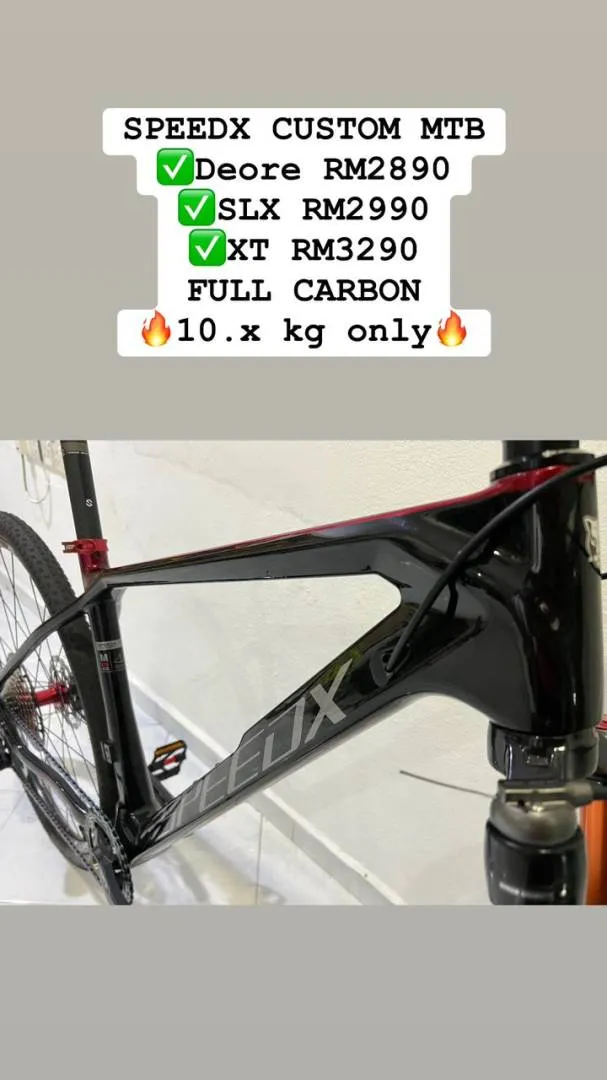 SPEEDX CARBON CUSTOM 12SPEED 10.x kg only!!!!