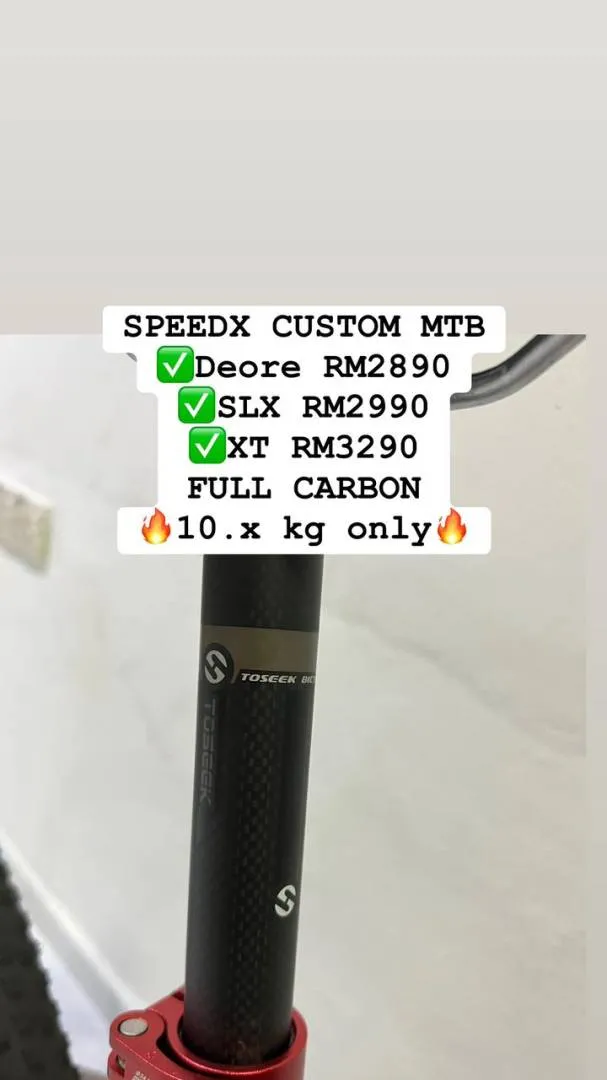SPEEDX CARBON CUSTOM 12SPEED 10.x kg only!!!!