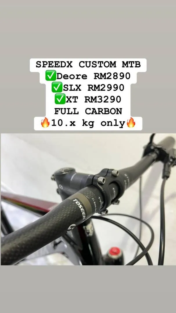 SPEEDX CARBON CUSTOM 12SPEED 10.x kg only!!!!