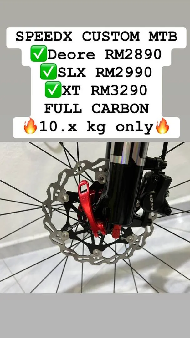 SPEEDX CARBON CUSTOM 12SPEED 10.x kg only!!!!