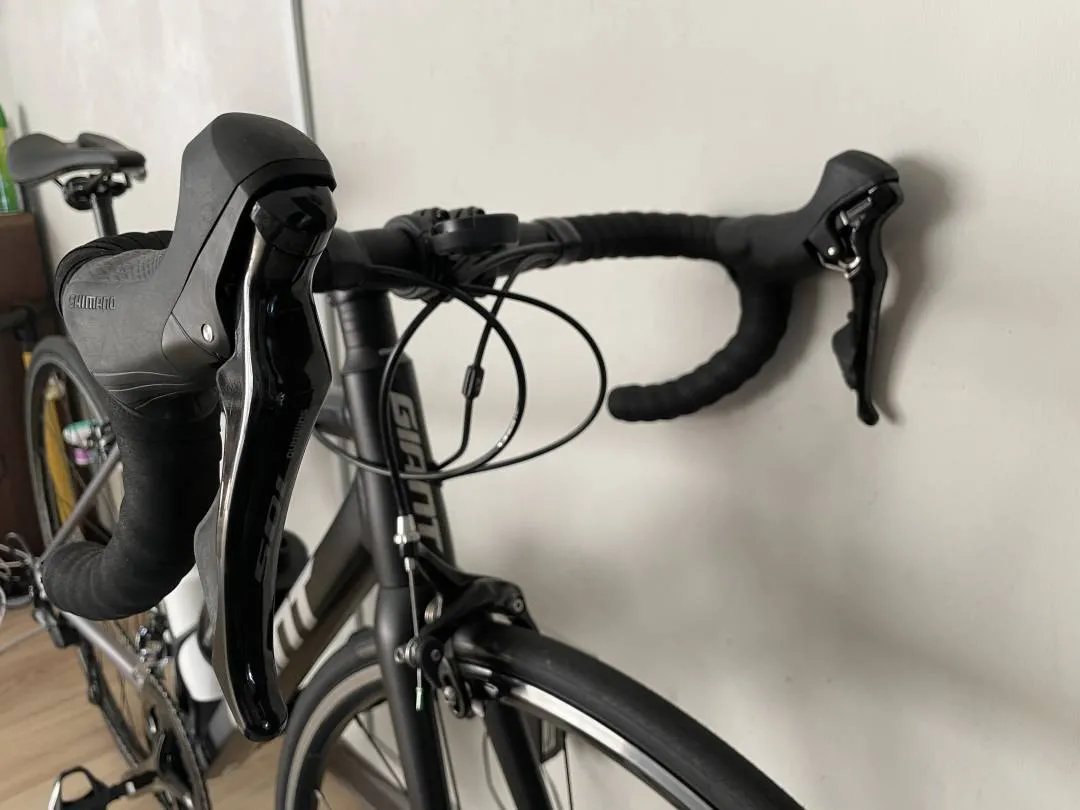 Giant TCR SL-1