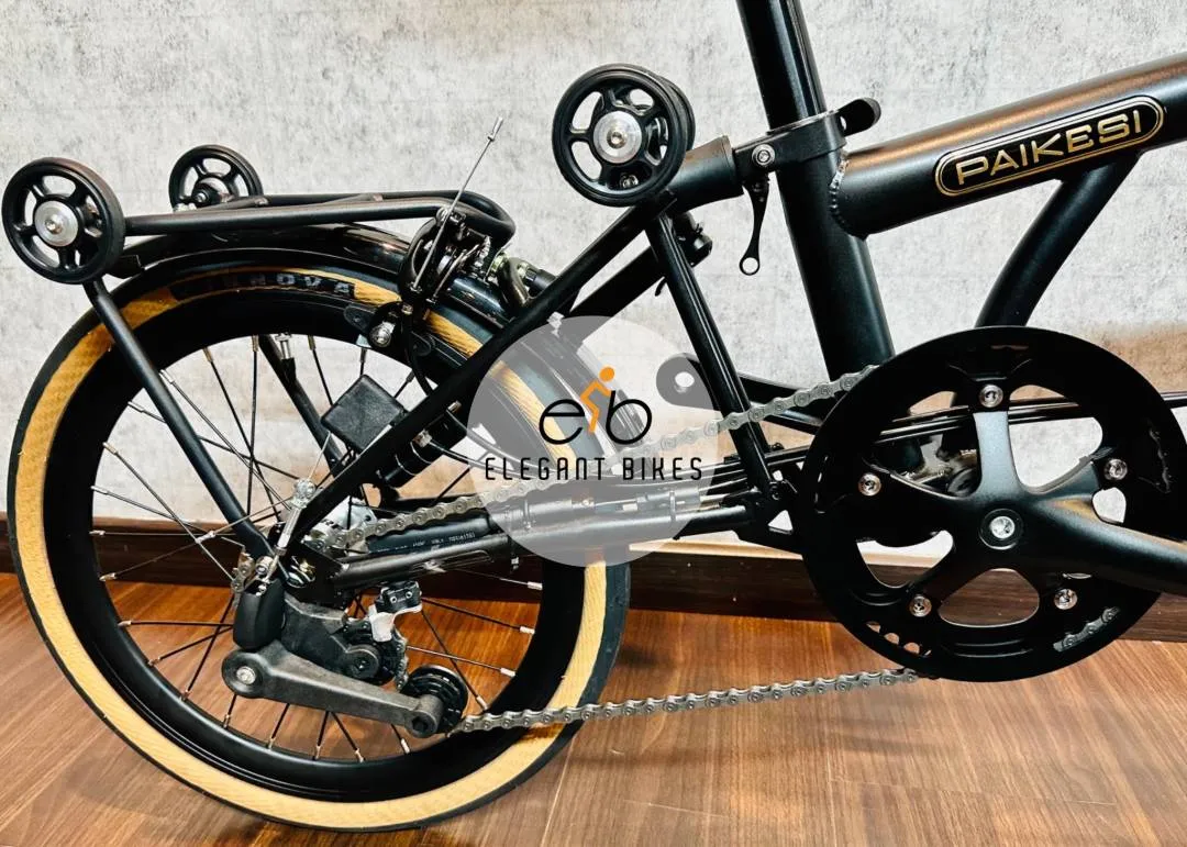 2023 CAMP PIKES 3X3SPEED CHROMOLY FRAME PAIKESI