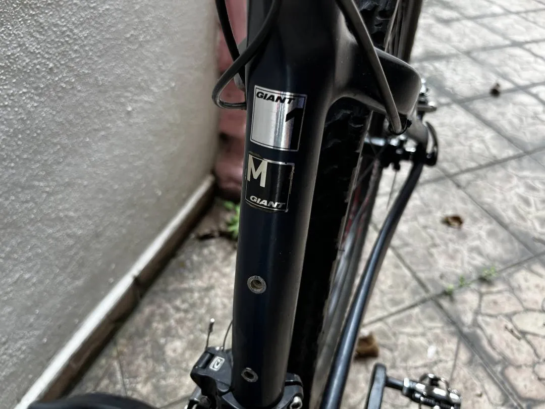 Giant XTC advanced 1 29er