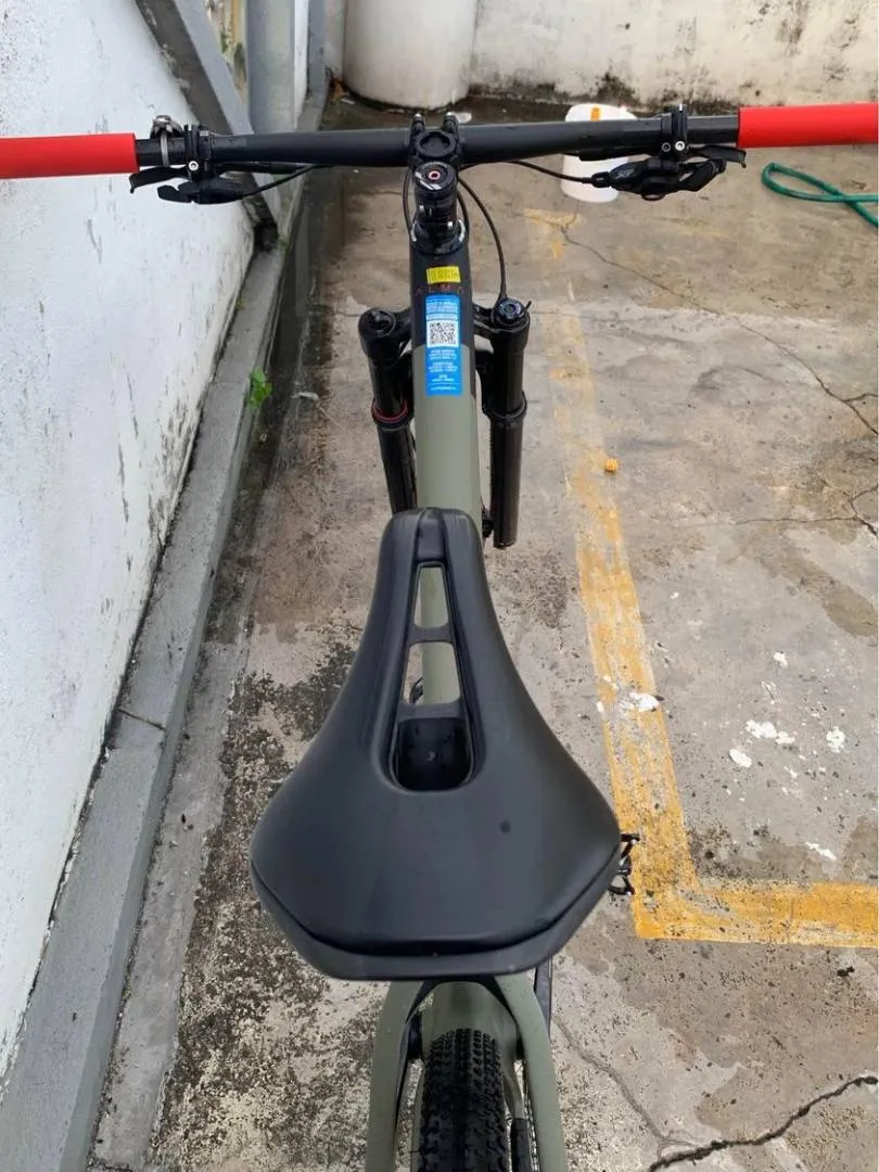 Orbea Alma Carbon