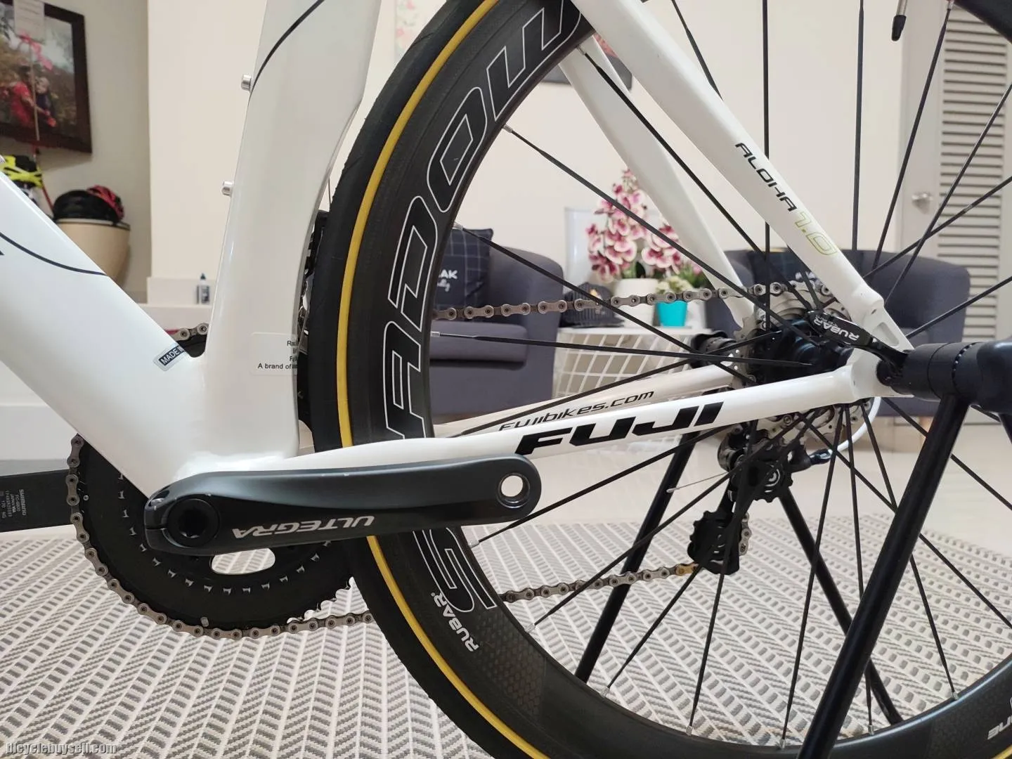 FUJI Aero TT Bike