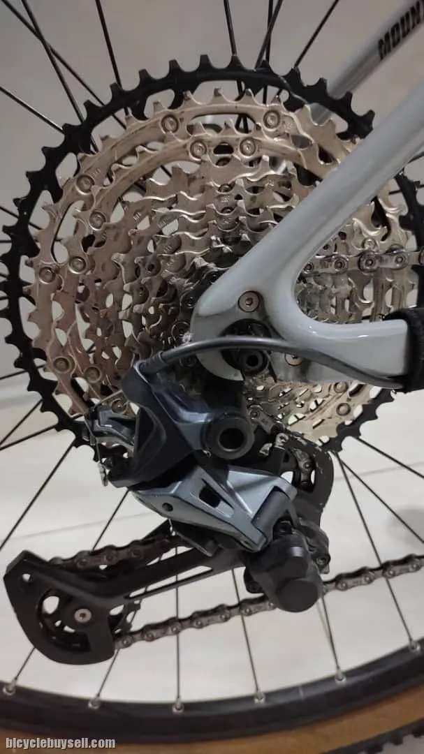 MTB TWITTER LEOPARD 29'' CARBON