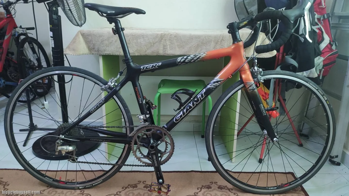 2006 Giant TCR C