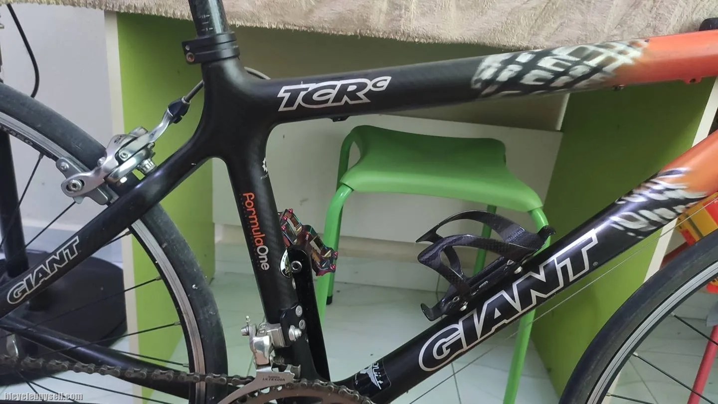 2006 Giant TCR C