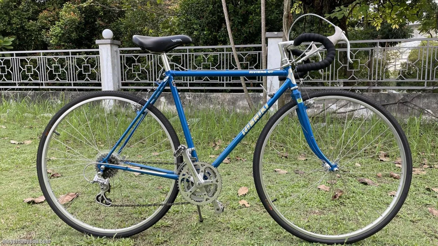 classic touring bike / gravel bike