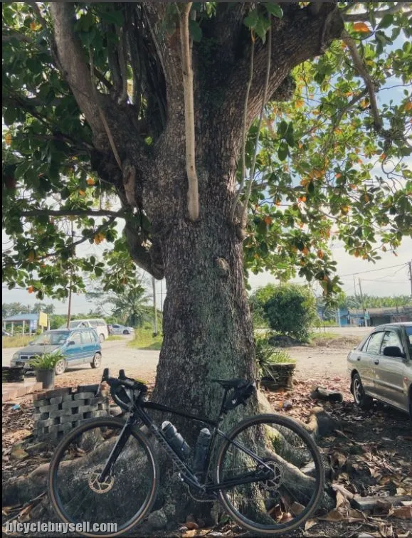 Specialized Diverge Comp E5 -  Gravel Bike